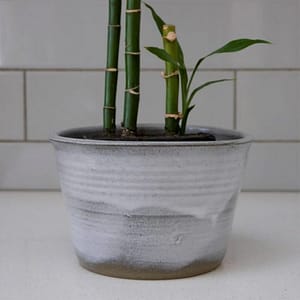 Plant Pot - Handthrown