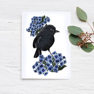 black-robin-greeting-card-native-birds-tui-or-not-tui
