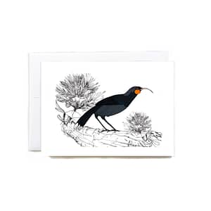 huia-greeting-card-native-birds-tui-or-not-tui