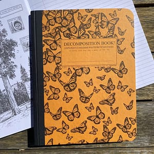 decomposition-notebook-monarch-migration